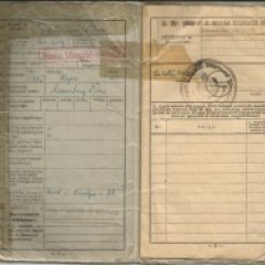 Military ID inside view