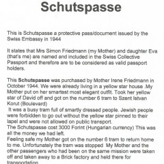 Explanation of Schutspasse