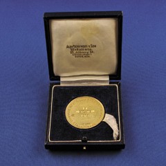 Isi Metzstein's RSA medal