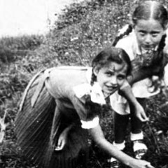 picking berries