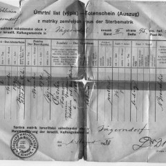 Cecille death certificate